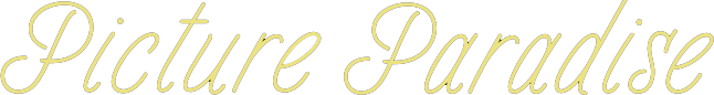 Logo Picture Paradise